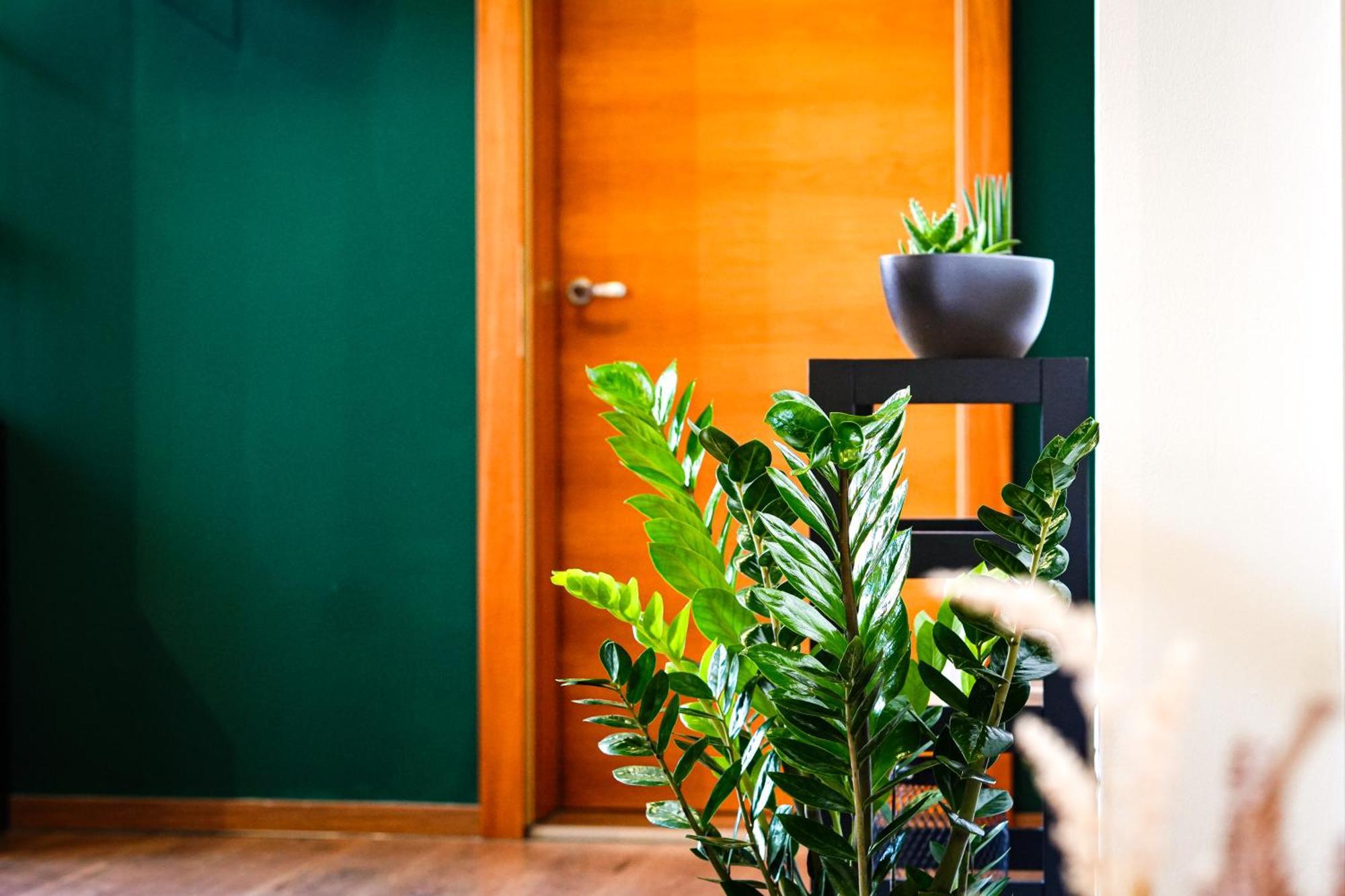 Alpenloft Bregenz Apartment ภายนอก รูปภาพ
